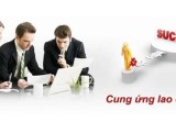 Mẹo chọn dịch vụ cung ứng lao động phù hợp nhất cho doanh nghiệp bạn