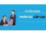 Bí quyết tuyển dụng nhân sự cấp cao