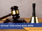 Mức xử phạt trốn đóng BHXH, BHTN mới nhất năm 2020