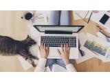 Bí quyết làm việc tại nhà mùa dịch