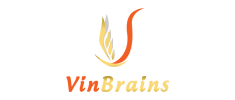 Công ty Cổ phần Đầu tư và Phát triển Vin Brains