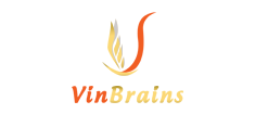 Công ty Cổ phần Đầu tư và Phát triển Vin Brains