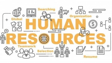 Bí quyết giúp công ty tư vấn nhân sự hiệu quả và tiết kiệm