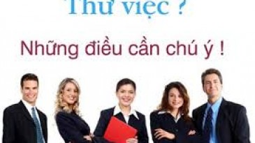 Điều gì tối kỵ trong giai đoạn thử việc?