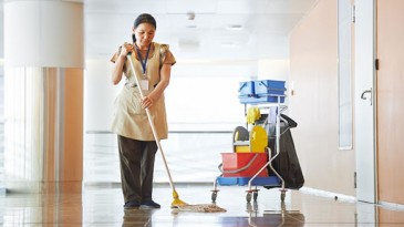 Dịch vụ vệ sinh hằng ngày - Vinbrains
