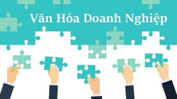 Điều quan trọng với người tìm việc: Hiểu văn hóa doanh nghiệp